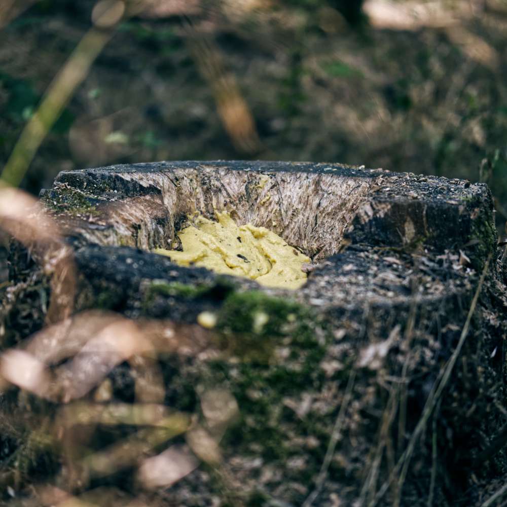 ΠΑΣΤΑ ΣΕ ΛΟΥΚΑΝΙΚΟ ATRASALT CORN 600gr (ΚΑΛΑΜΠΟΚΙ)